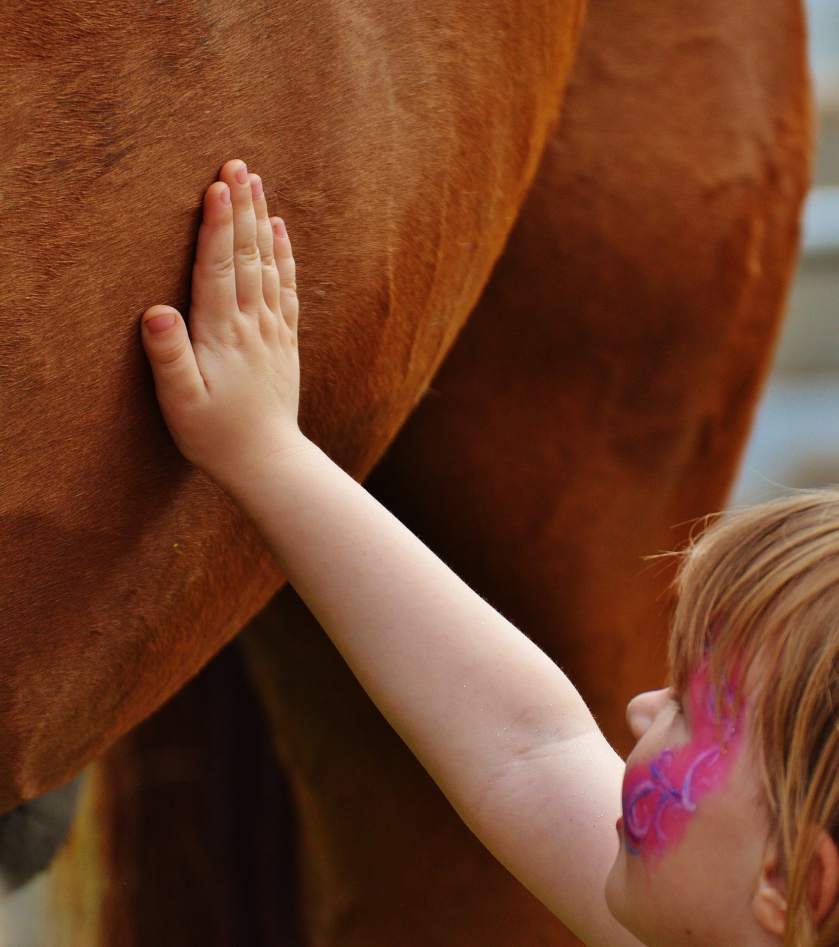  criança reiki para animais